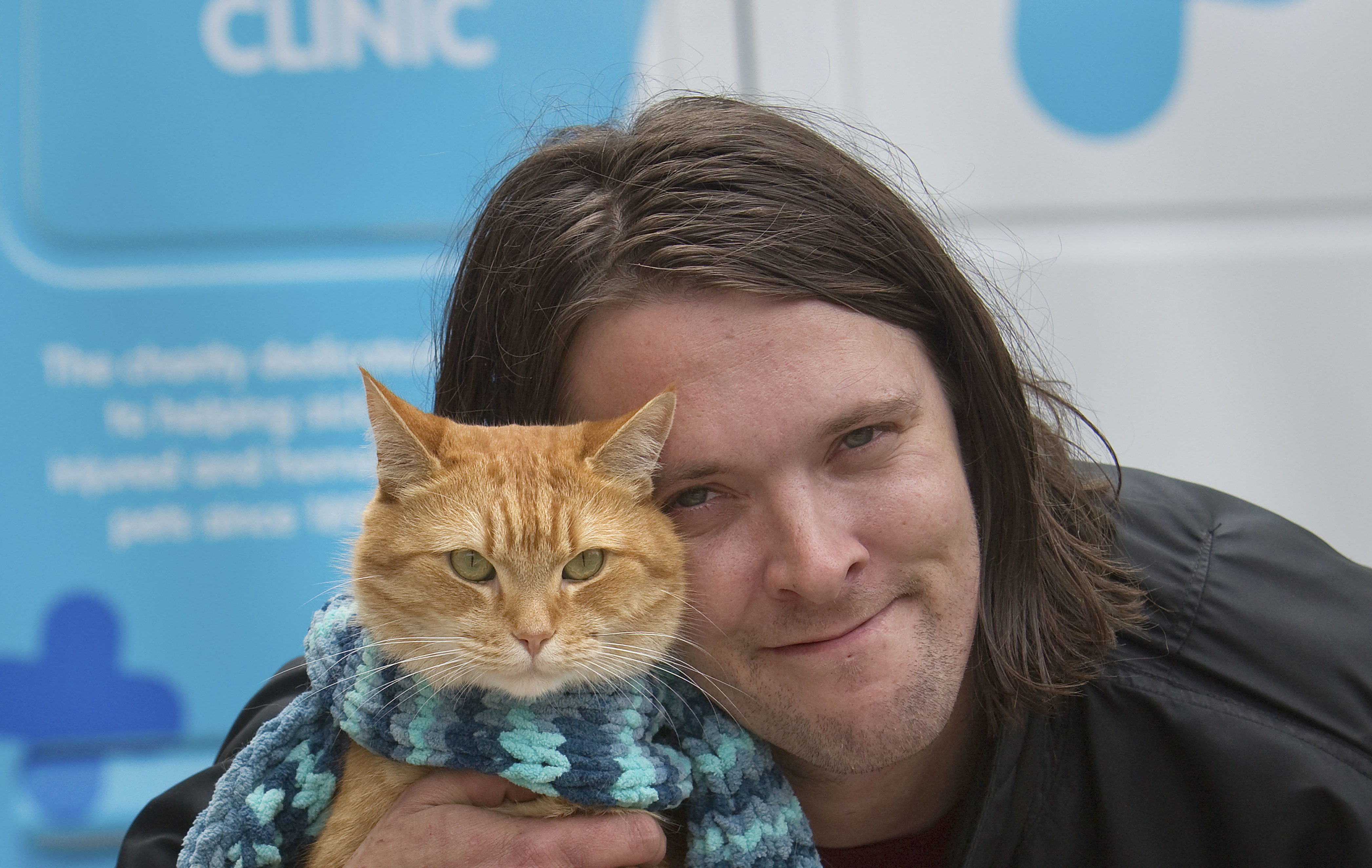 A street cat named Bob | Blue Cross